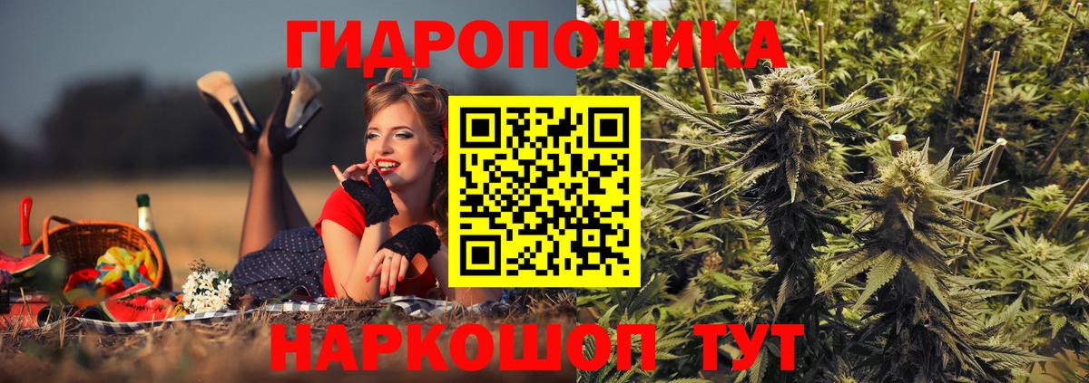 Карасук  Бошки марихуана план  Вход с VPN  Бошки Шишки сатива 