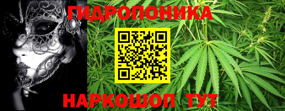 Конопля планчик Карасук